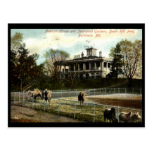 Zoological Gardens, Druid Hill Park, Baltimore Vin Postcards