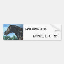 zoom, bumpersticker bumper sticker