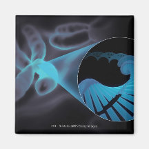 Zoom in of a DNA strand in a chromosome Refrigerator Magnets