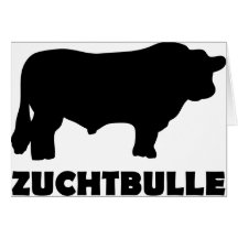 Zuchtbulle Black Angus Card