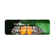 Zuleika Butterfly Return Address Labels