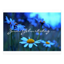 Zum Geburtstag ... (Blue Marguerites) Post Card