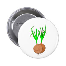 Zwiebeln onions button