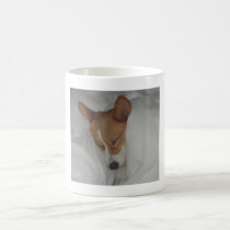 Zzzzzz Life of a Show Dog mugs