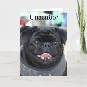 Спасибо Russian Pug Dog Thank you card