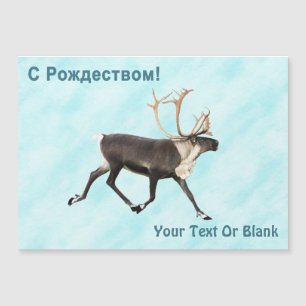 С Рождеством - Caribou (Reindeer) On Snow