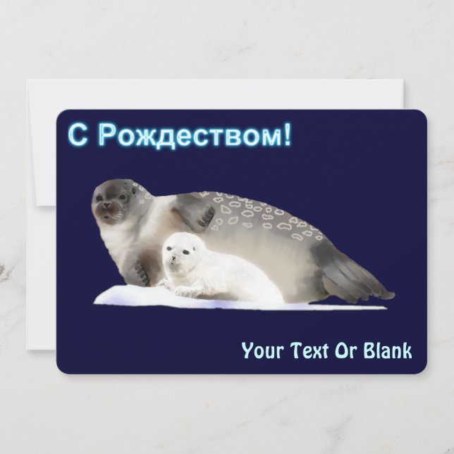 С Рождеством  - Ringed Seal Holiday Card (Front)
