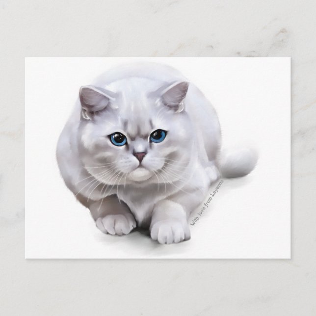 Сat breed British Shorthair Postcard (Front)