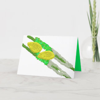 ס ו כ ו ת Sukkot plaisir lulav et etrog carte