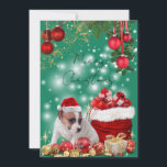 かわいいジャックラッセルテリアのメリークリスマス♡ HOLIDAY CARD<br><div class="desc">かわいいジャックラッセルテリアのメリークリスマス♡シーズンカード
子犬のクリスマス シーズンカード
プレゼント キラキラ わんちゃん Merry Christmas</div>