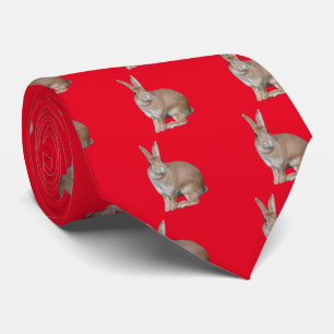 ウサギのアパレル TIE