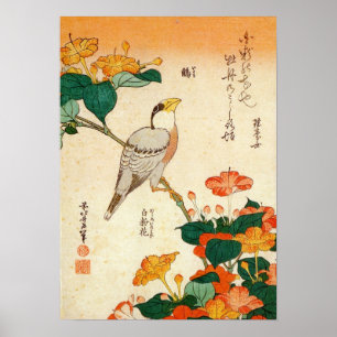 オシロイバナに小鳥, 北斎 Bird and Mirabilis Jalapa, Hokusai Poster