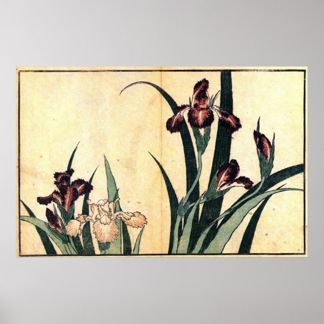 カキツバタ, 北斎 Irises, Hokusai, Ukiyo-e Poster (Front)