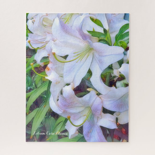 カサブランカ [花] ジグソーパズル JIGSAW PUZZLE (Vertical)