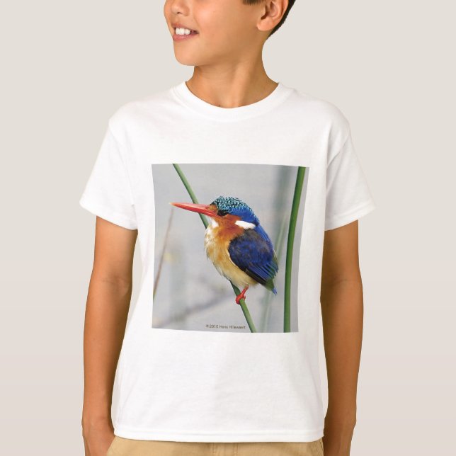 カワセミのトレーナー T-Shirt (Front)