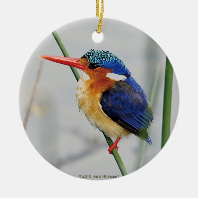 カワセミの優良製品 CERAMIC ORNAMENT (Front)