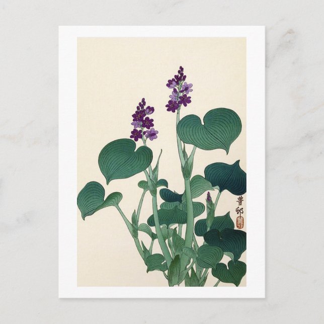 ギボウシの花, 古邨 Purple Flowering Hosta, Ohara Koson Postcard (Front)