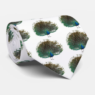 クジャックのアパレル TIE