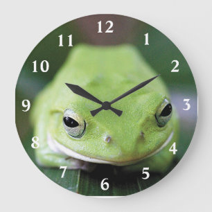 シュレーゲルアオガエルの掛け時計 LARGE CLOCK