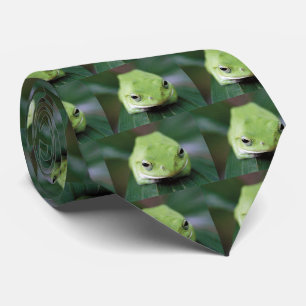 シュレーゲルアマガエル TIE