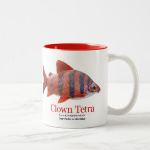 ショート・ノーズ・クラウン・テトラ Two-Tone COFFEE MUG