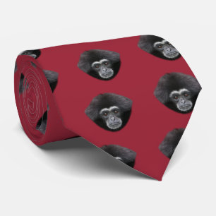 シロテナガザル TIE