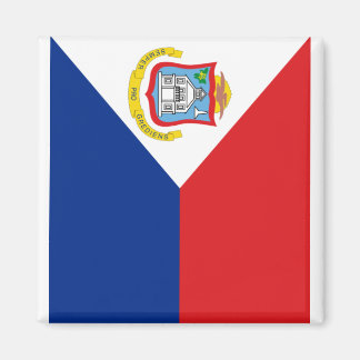 シント・マールテンの旗 ー縦 MAGNET