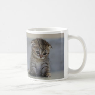 スコティッシュフォールド子猫　マグカップ COFFEE MUG