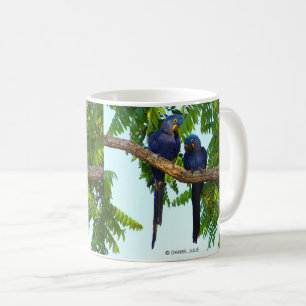 スミレコンゴウインコ , Hyacinth macaw Coffee Mug
