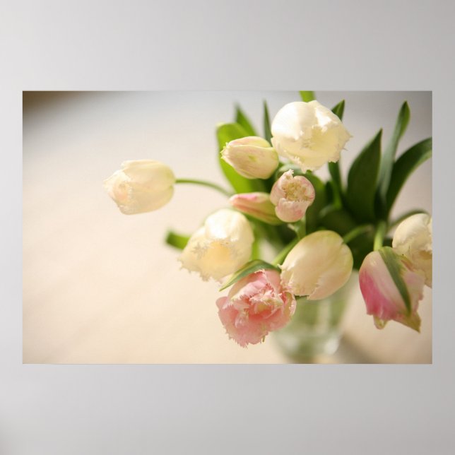 チューリップ POSTER (Front)