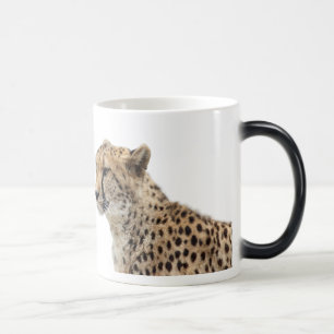 チーターのマグカップ,No.02 Magic Mug
