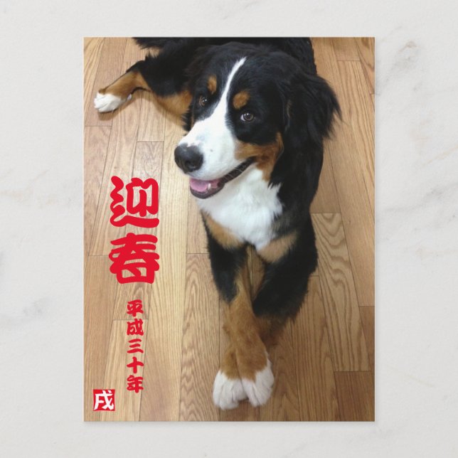 バーニーズマウンテンドッグ　年賀状　2018年　戌年 POSTCARD (Front)