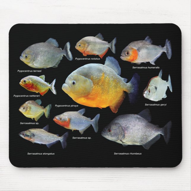 ピラニアの製品 MOUSE PAD (Front)