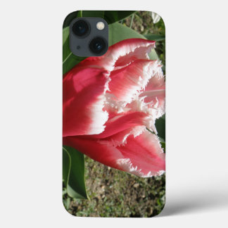 ピンクによって縁を付けられるチューリップのiphone 5ケース iPhone 13 case