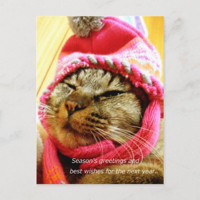 ピンク帽子のチャド（縦：年末年始のメッセージ付き） POSTCARD (Front)