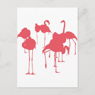 フラミンゴ POSTCARD