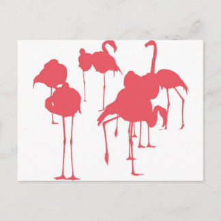 フラミンゴ POSTCARD