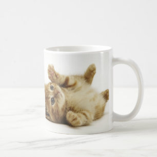 マルチカン子猫 マグカップ COFFEE MUG