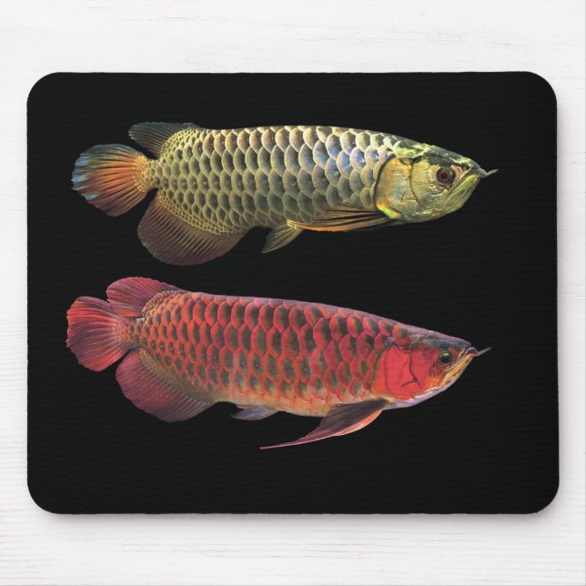 マレーシアンゴールデンアロワナとスーパーレッドアロワナのマウスパッド MOUSE PAD (Front)