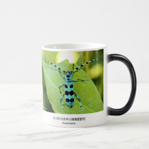 ルリボシカミキリムシ、Blue Longhorn Beetle with Black Spots Magic Mug