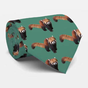 レッサーパンダ TIE