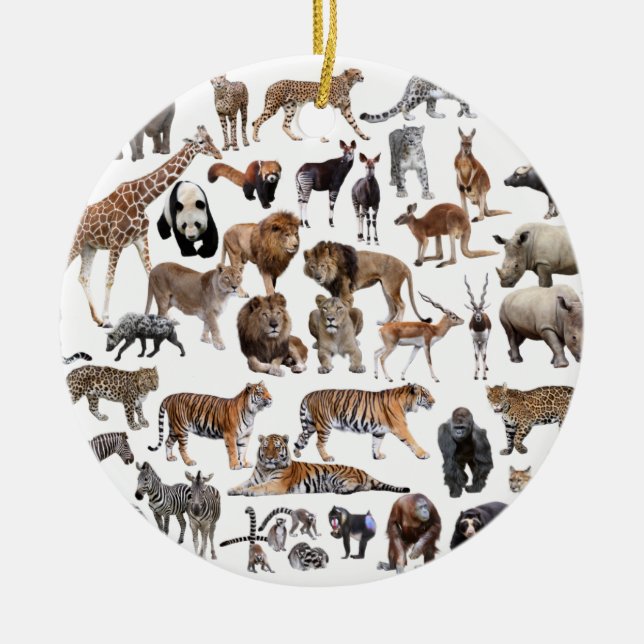 世界の動物の優良製品 CERAMIC ORNAMENT (Front)