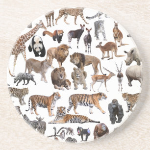 世界の動物の優良製品 COASTER