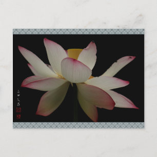 「京都立本寺の蓮」"Lotus at Kyoto Ripponj Postcard