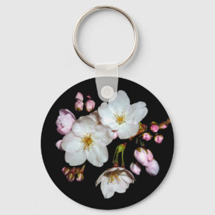 募金用 , Cherry blossoms , 桜 Keychain