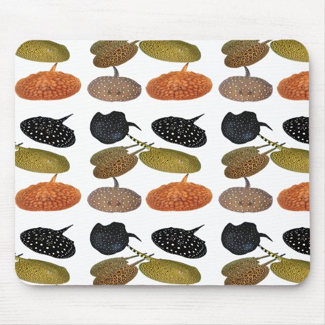 南米産淡水エイのマウスパッド,No.05 Mouse Pad (Front)