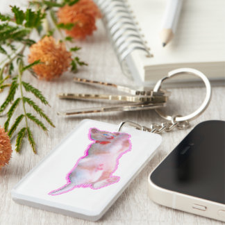 可愛い猫 子猫の頃[When the cat 'kawaii' was a kitten.]