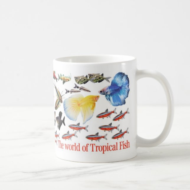 小型熱帯魚のマグカップ COFFEE MUG (Right)