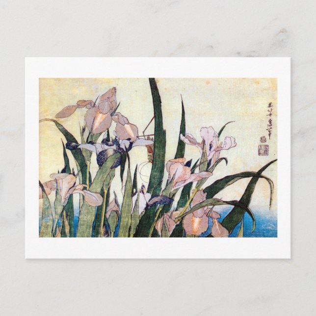 杜若ときりぎりす, 北斎 Iris and Grasshopper, Hokusai Postcard (Front)