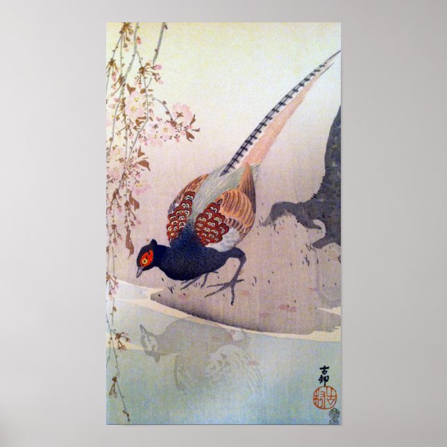 桜にキジ, 古邨 Pheasant and Cherry blossoms, Ohara Koson Poster (Front)